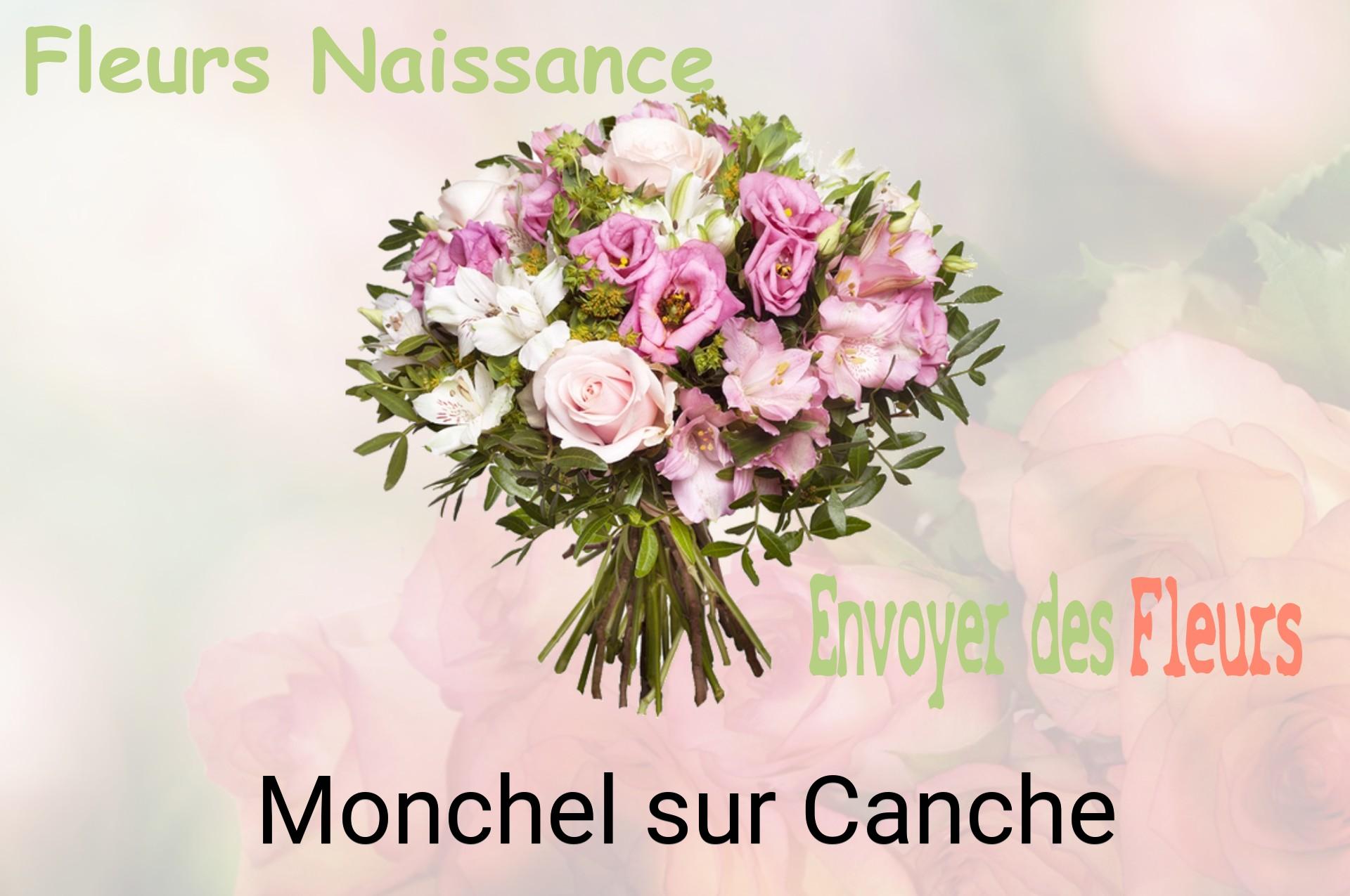 Bouquet de fleurs de naissance livré à Monchel-sur-Canche